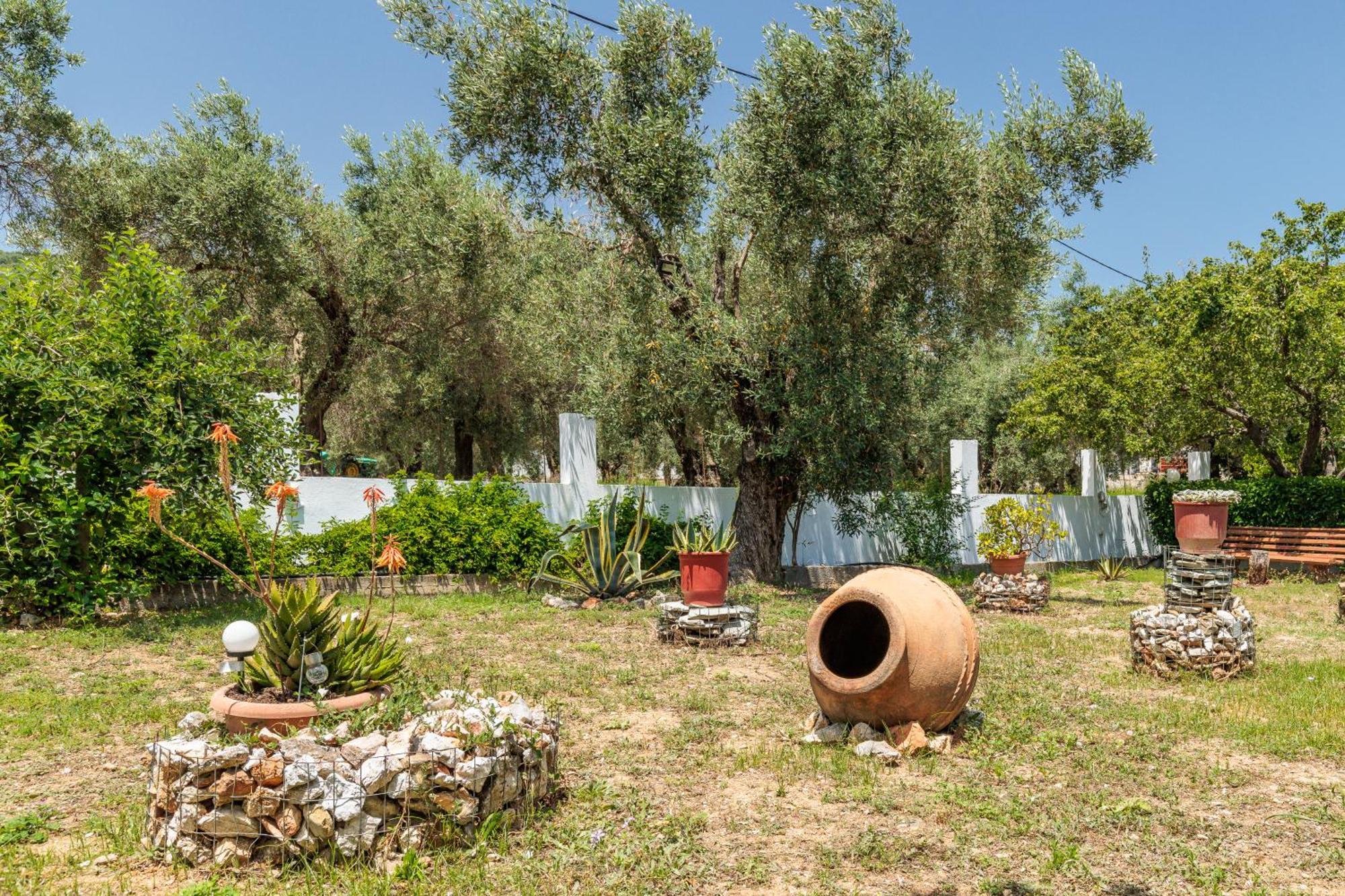 Panagou Studios سكوبيلوس تاون المظهر الخارجي الصورة